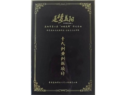 十大創(chuàng)業(yè)創(chuàng)新項目