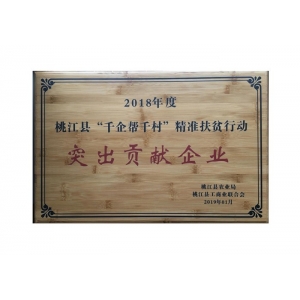 精準扶貧突出貢獻企業(yè)