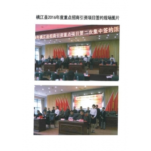 桃江縣重點招商引資項目